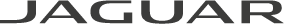 Jaguar Logo